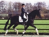 metall-trotting