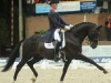 carl-hester-uthopia