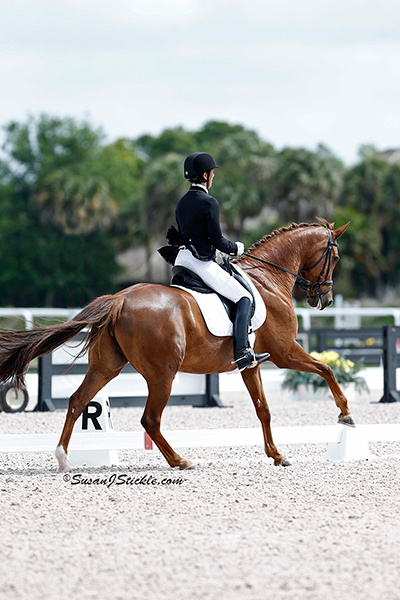 Deborah & Verona in the show ring | Image by Susan Stickle